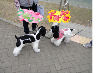 DSC00297-2.jpg
