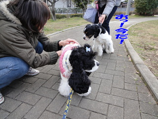 DSC00312-2.jpg
