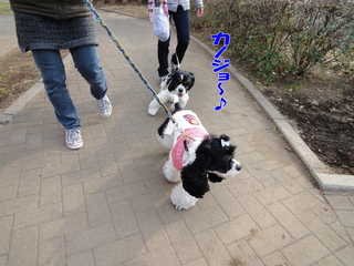 DSC00315-2.jpg