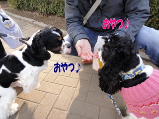 DSC00318-2.jpg