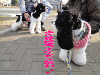 DSC00328-2.gif