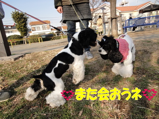 DSC00336-2.jpg