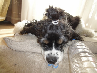 DSC01293-2.jpg