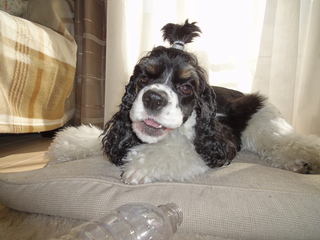 DSC01294-2.jpg