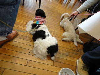 DSC01855-2.jpg