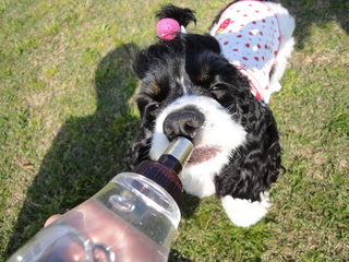 DSC02072-2.jpg