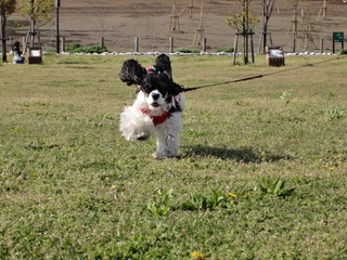 DSC02115-2.jpg