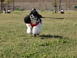 DSC02117-2.jpg
