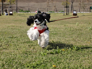 DSC02118-2.jpg