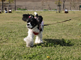 DSC02119-2.jpg