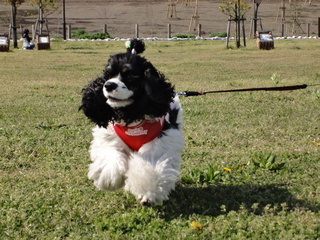 DSC02121-2.jpg