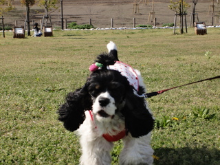DSC02123-2.jpg