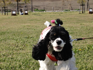 DSC02124-2.jpg