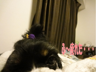 DSC02267-2.jpg