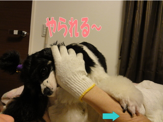 DSC02273-2.jpg