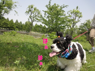 DSC02376-2.jpg