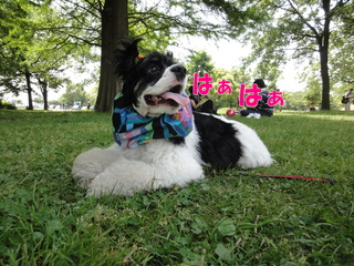 DSC02384-2.jpg