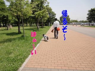 DSC02404-2.jpg