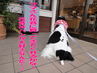 DSC02465-2.jpg