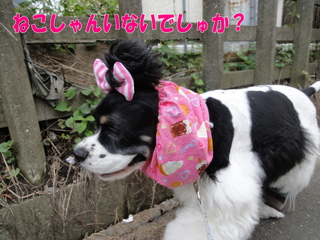 DSC02486-2.jpg