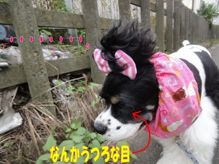 DSC02487-2.jpg