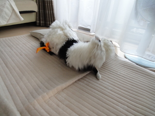 DSC02644-2.jpg