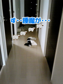 NEC_0611-2.jpg
