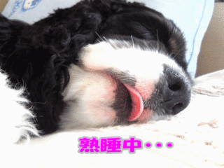 NEC_0613-2.gif