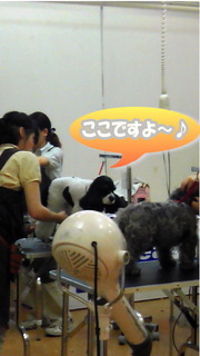 NEC_0655-2.jpg
