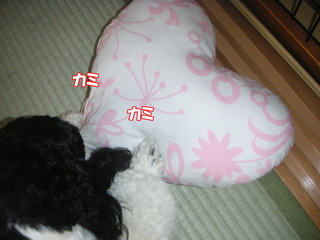 PICT0001-2.jpg