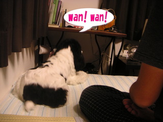 PICT0002-2.jpg