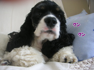 PICT0003-2.jpg