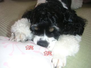 PICT0003-2.jpg