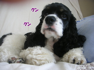 PICT0004-2.jpg