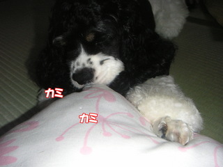 PICT0004-2.jpg