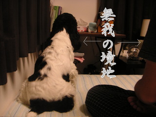 PICT0005-2.jpg