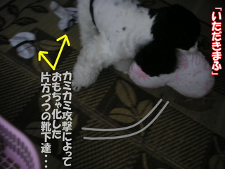 PICT0006-2.jpg