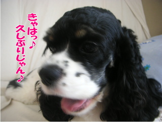PICT0006-2.jpg