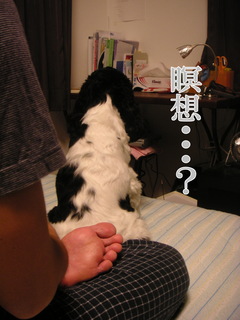 PICT0006-2.jpg