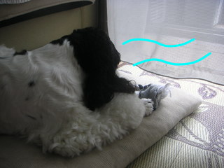 PICT0008-2.jpg