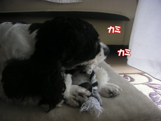 PICT0009-2.jpg