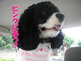 PICT0009-2.jpg