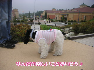 PICT0012-2.jpg