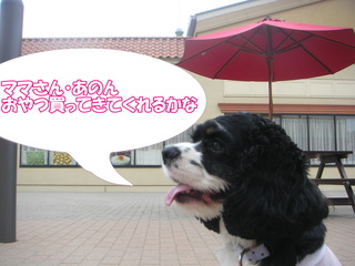PICT0013-2.jpg