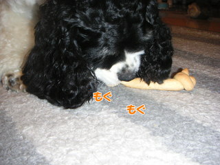PICT0015-2.jpg