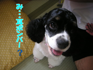 PICT0015-2.jpg