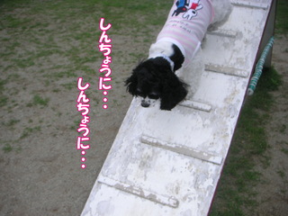 PICT0016-2.jpg