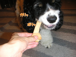 PICT0020-2.jpg