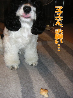 PICT0025-2.jpg