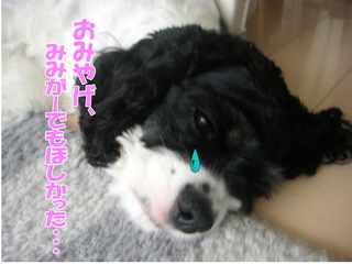 PICT0026-2.jpg